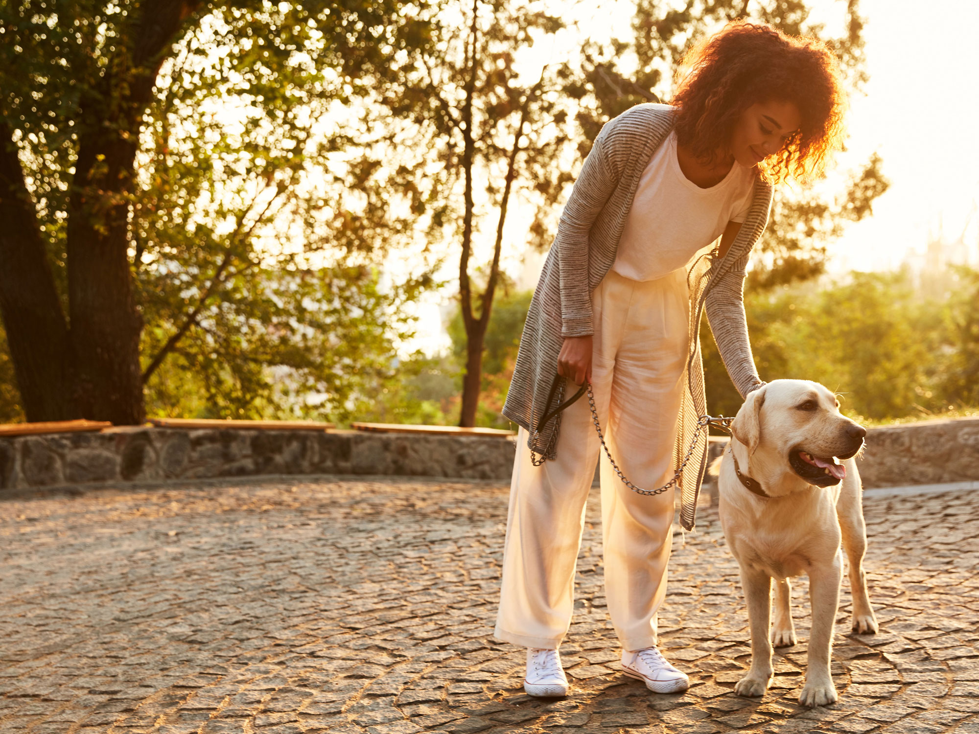 What to Look for in a Pet Insurance Policy?