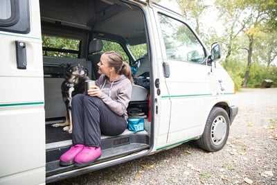 How to Travel Safely with Your Dogs