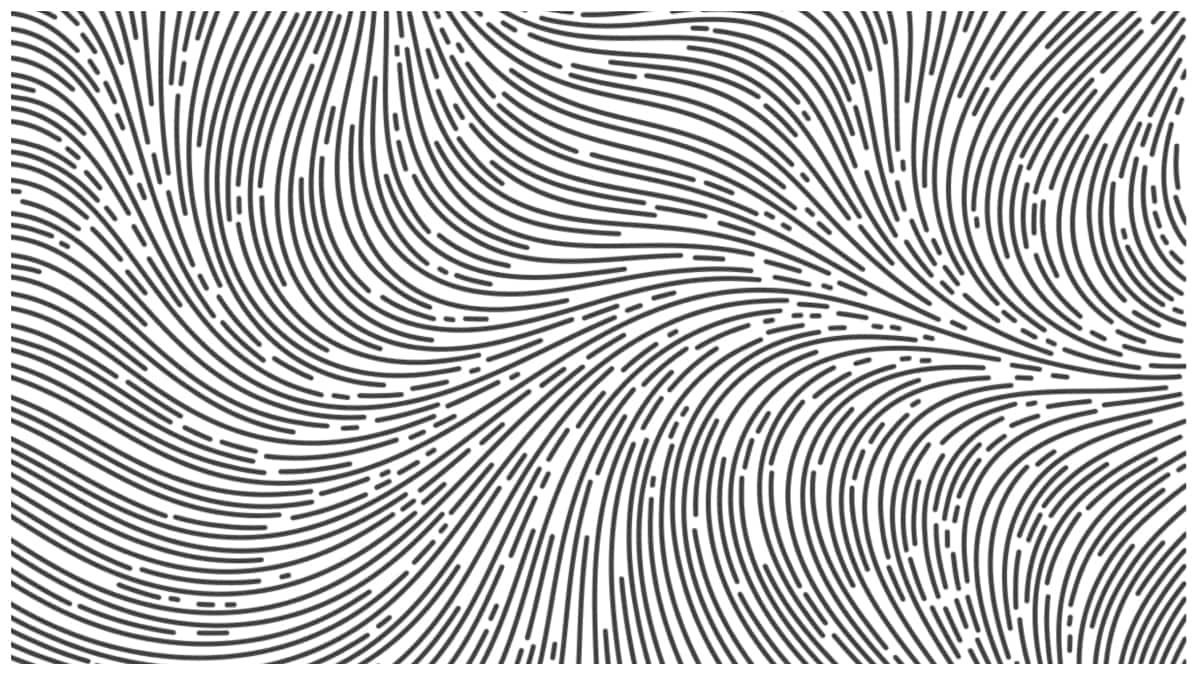 Lines drawn through a flow field using Jobard and Lefer’s technique