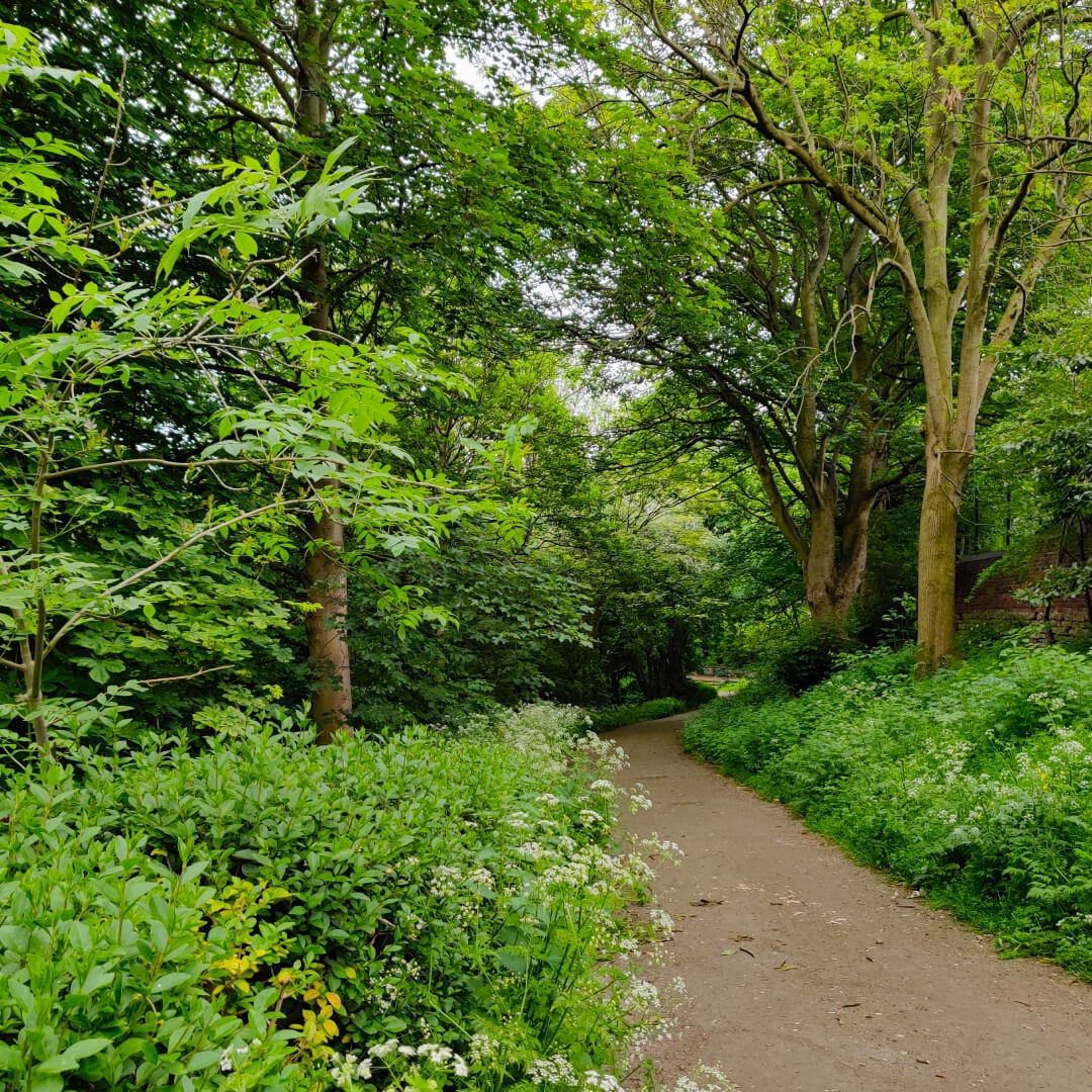 Meanwood Valley Local Nature Reserve bridge path in Meanwood