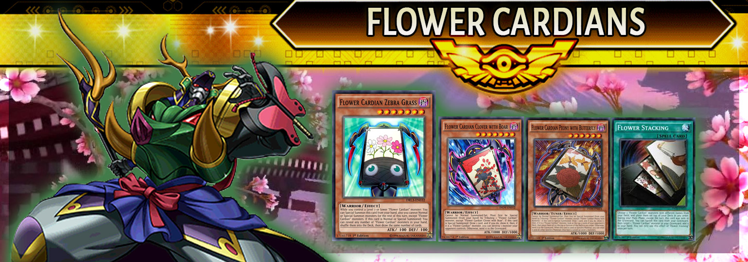 Flower Cardian Breakdown | YuGiOh! Duel Links Meta