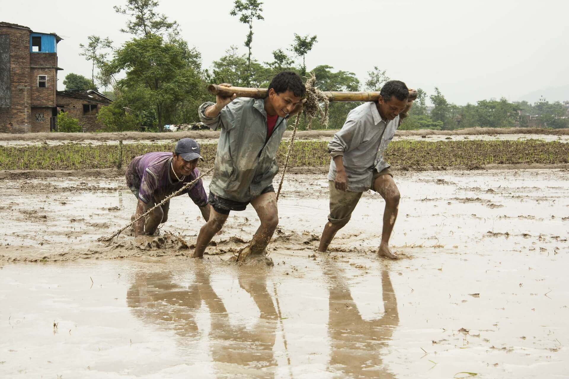 Plotting for Farming using Human Effort Nepali