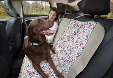 Protect Your Car from Dog Fur and Mud