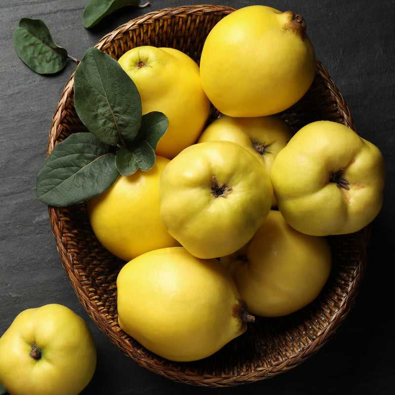 Greek-Grocery-Greek-Products-bio-magnisia-quince-800g