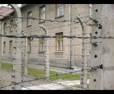 Auschwitz 6