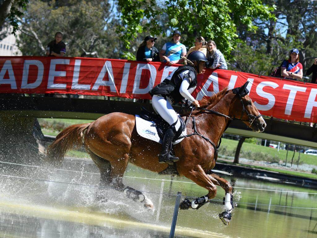 Adelaide Equestrian Festival 2023 UpNext