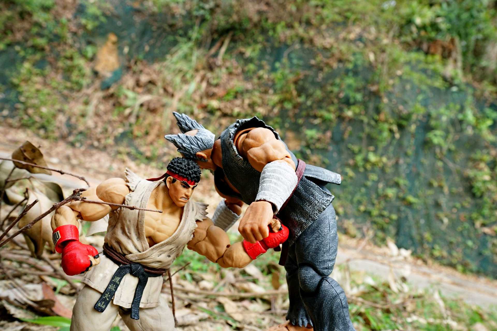 Ryu VS Heihachi Mishima