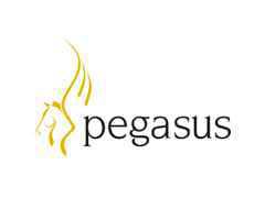 Pegasus
