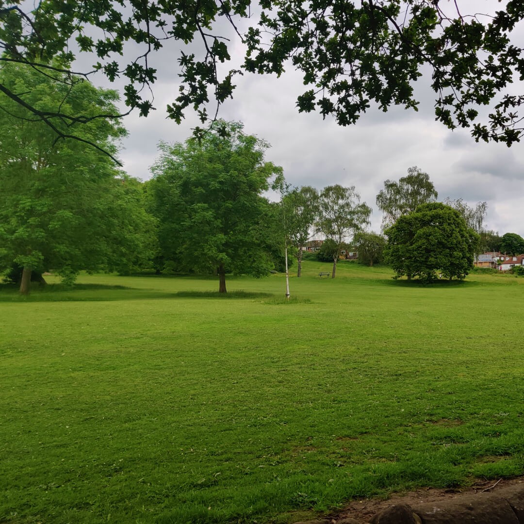 Meanwood Park field