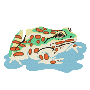 BESIDE_15animals_2021leapardfrog.png