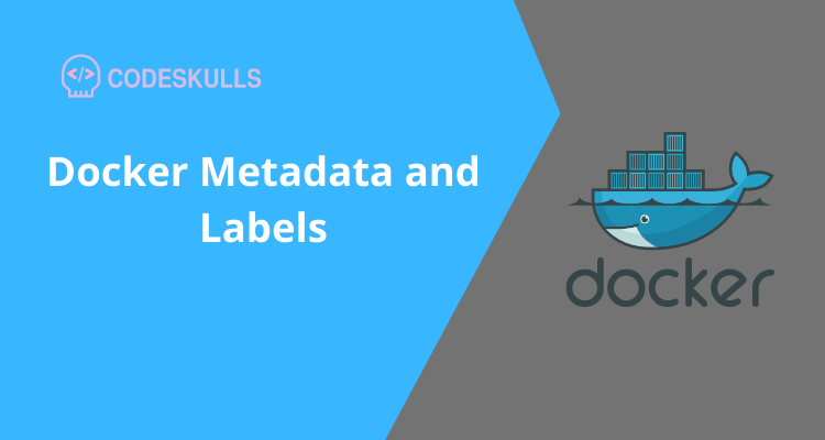 Docker-Metadata-and-Labels.png