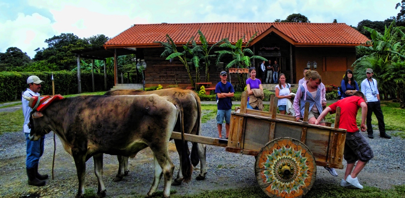 Don Juan Coffee, Chocolate & Sugar Cane Tour