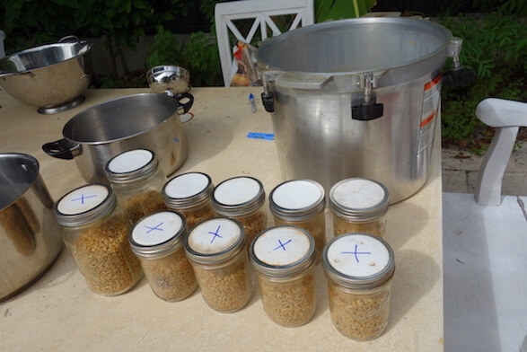 Filling jars with grain