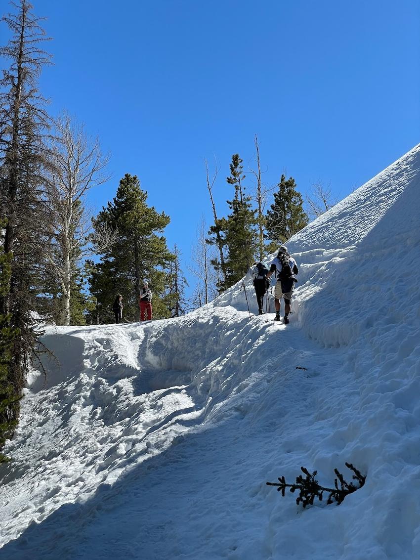 Photo of snow-packed trail