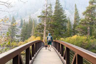 ​California Fall Colors and Eastern Sierra Adventures with our Dog, Spruce