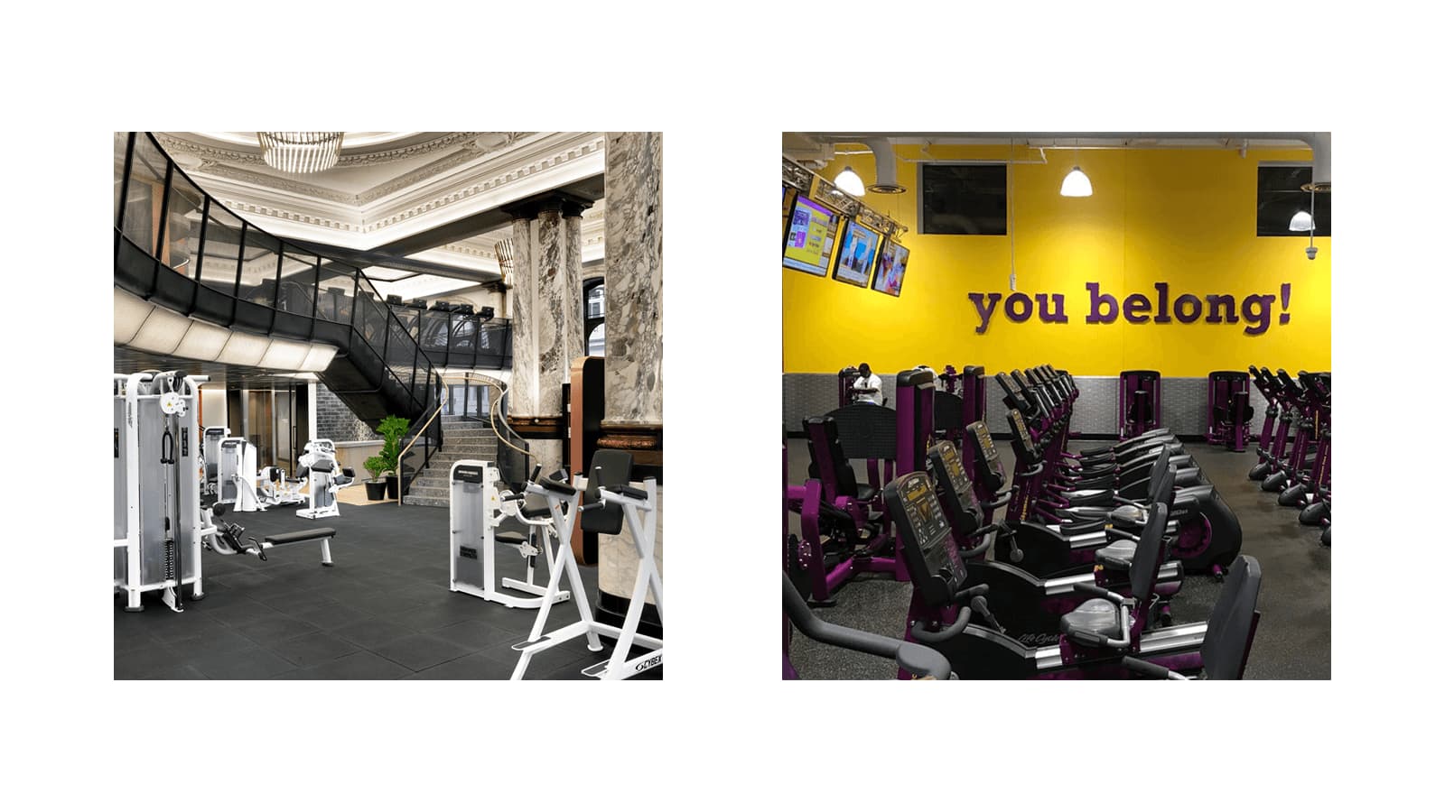 Equinox location in London juxtaposed to Planet Fitness location