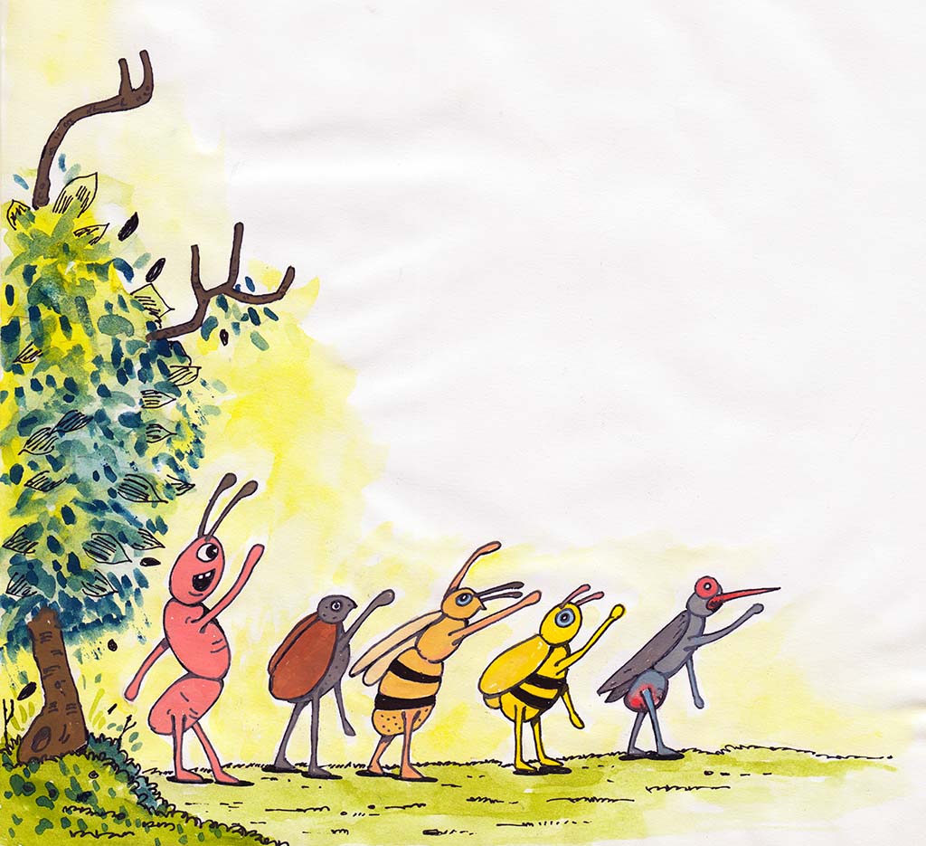 The Jungle Contest