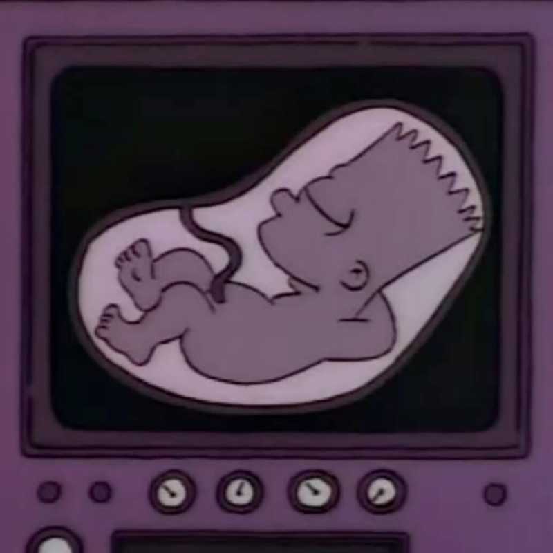 bart simpson chilling in the womb