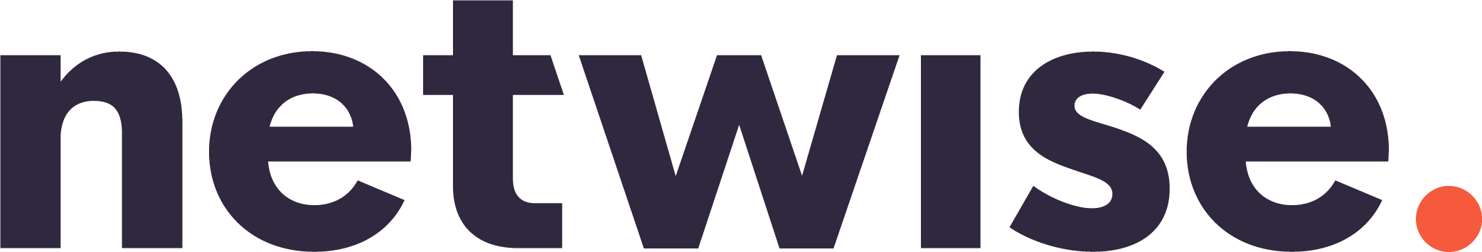 netwise logo