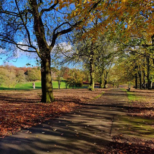 Potternewton Park - Discover Leeds