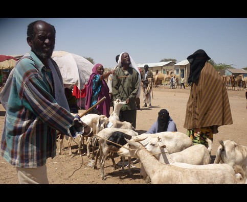 Somalia Animal Market 7