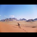 Wadi Rum 56