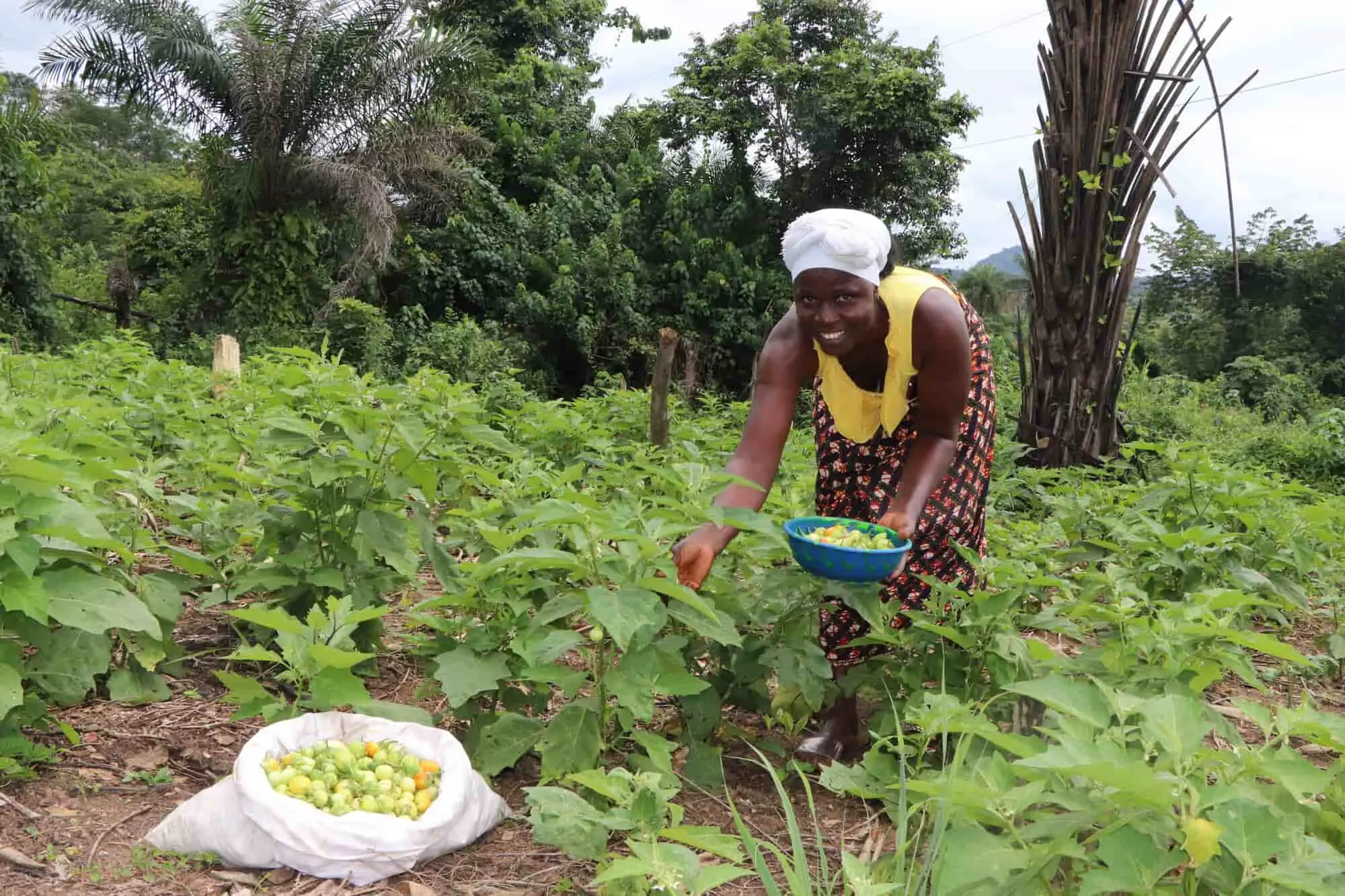 Woman in vegetable garden in Liberia