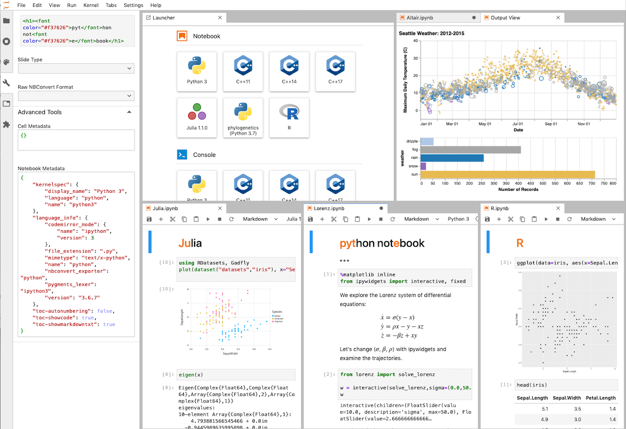 A sample of the Jupyter Notebook interface.