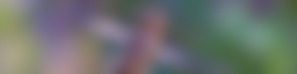 Hummingbird