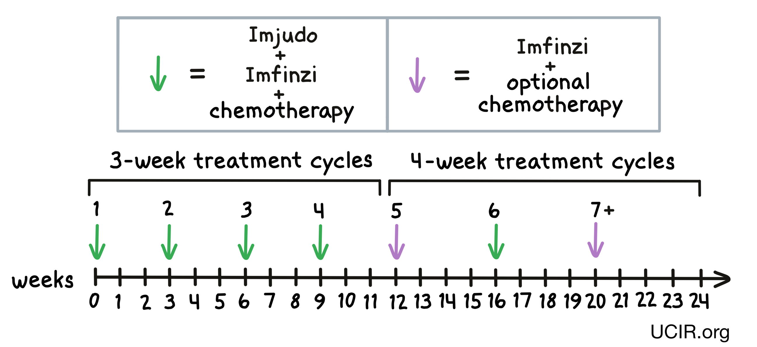 Illustration showing how Imfinzi is administered to patients
