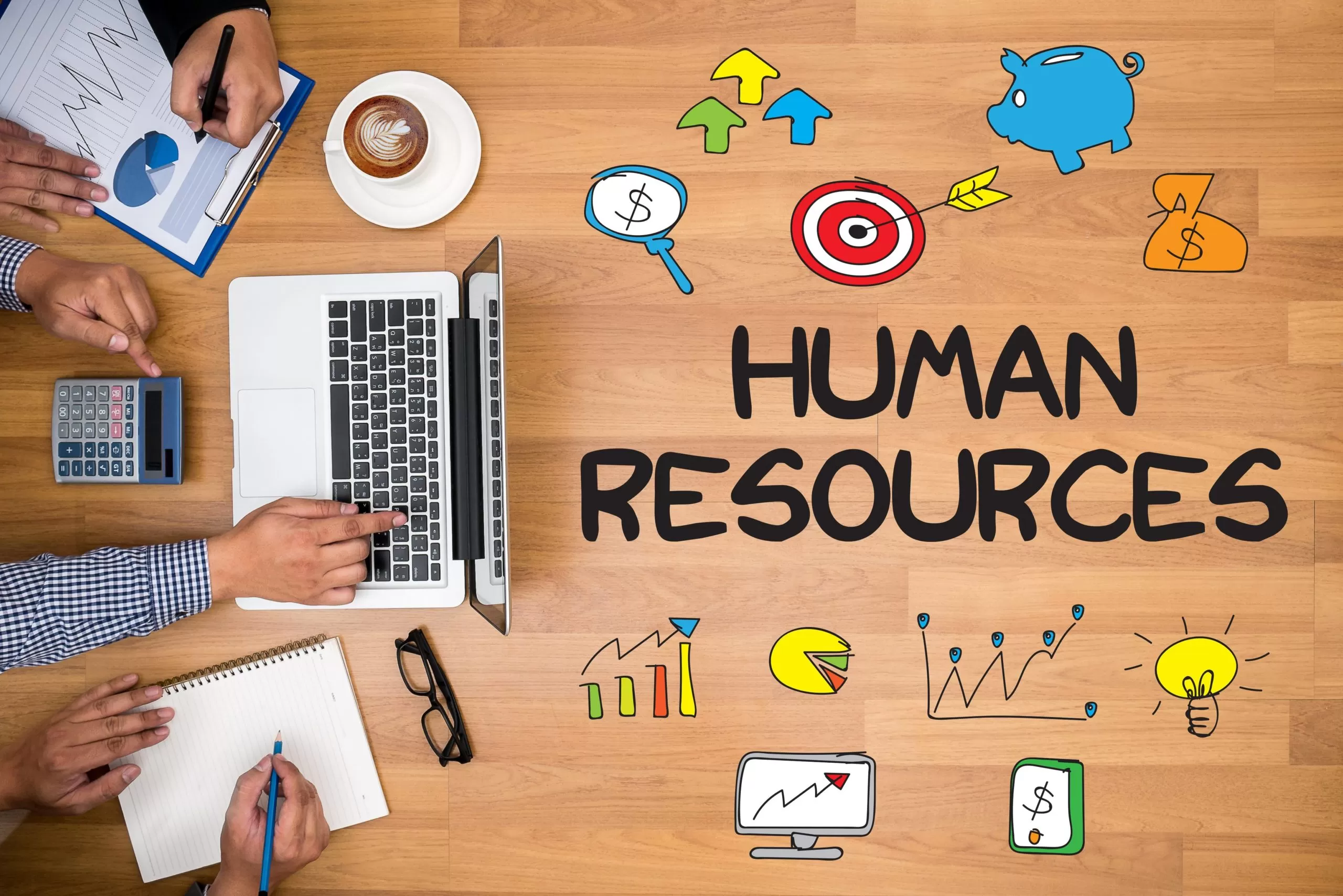What is HR Software and How to choose the one best suited for your company?