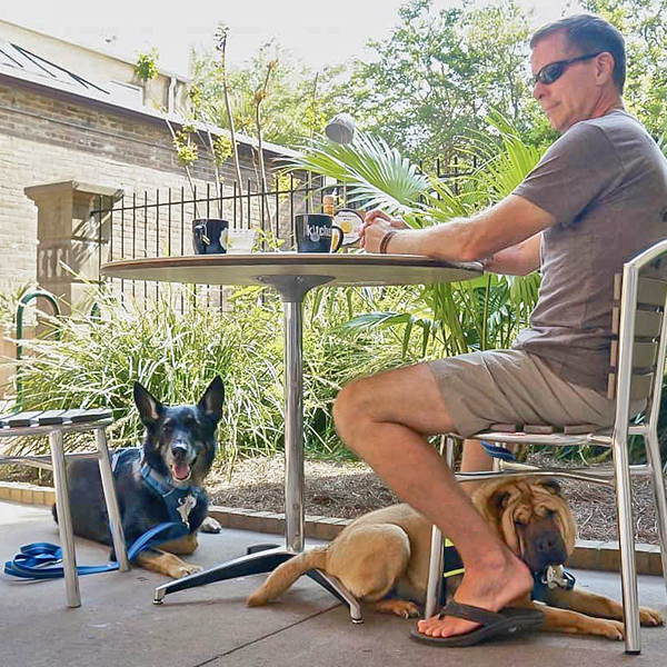 A man sits at a patio restaurant table with two dogs on leashes laying under the table.