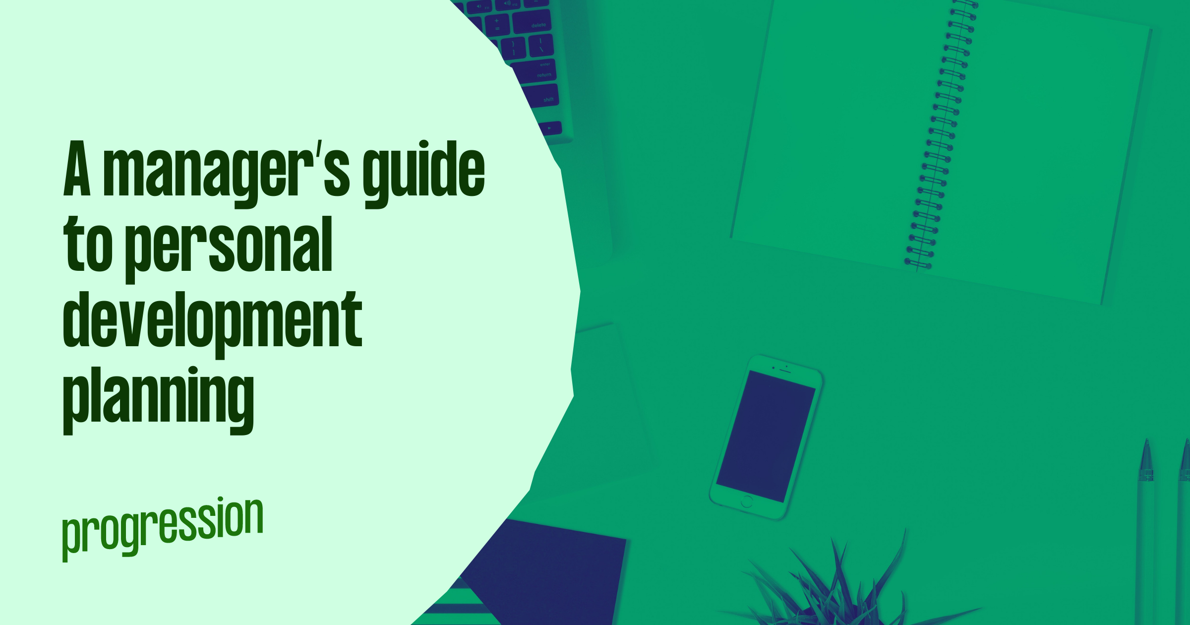 A manager’s guide to personal development planning