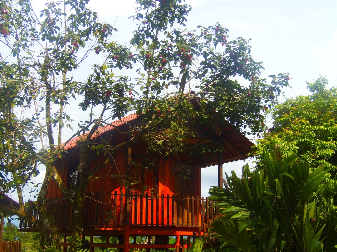 Heliconias Nature Lodge Arenal Volcano Costa Rica