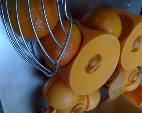 Exprimidor de zumo de naranja