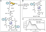 Molecular Switches—Tools for Imparting Control in Drug Delivery Systems