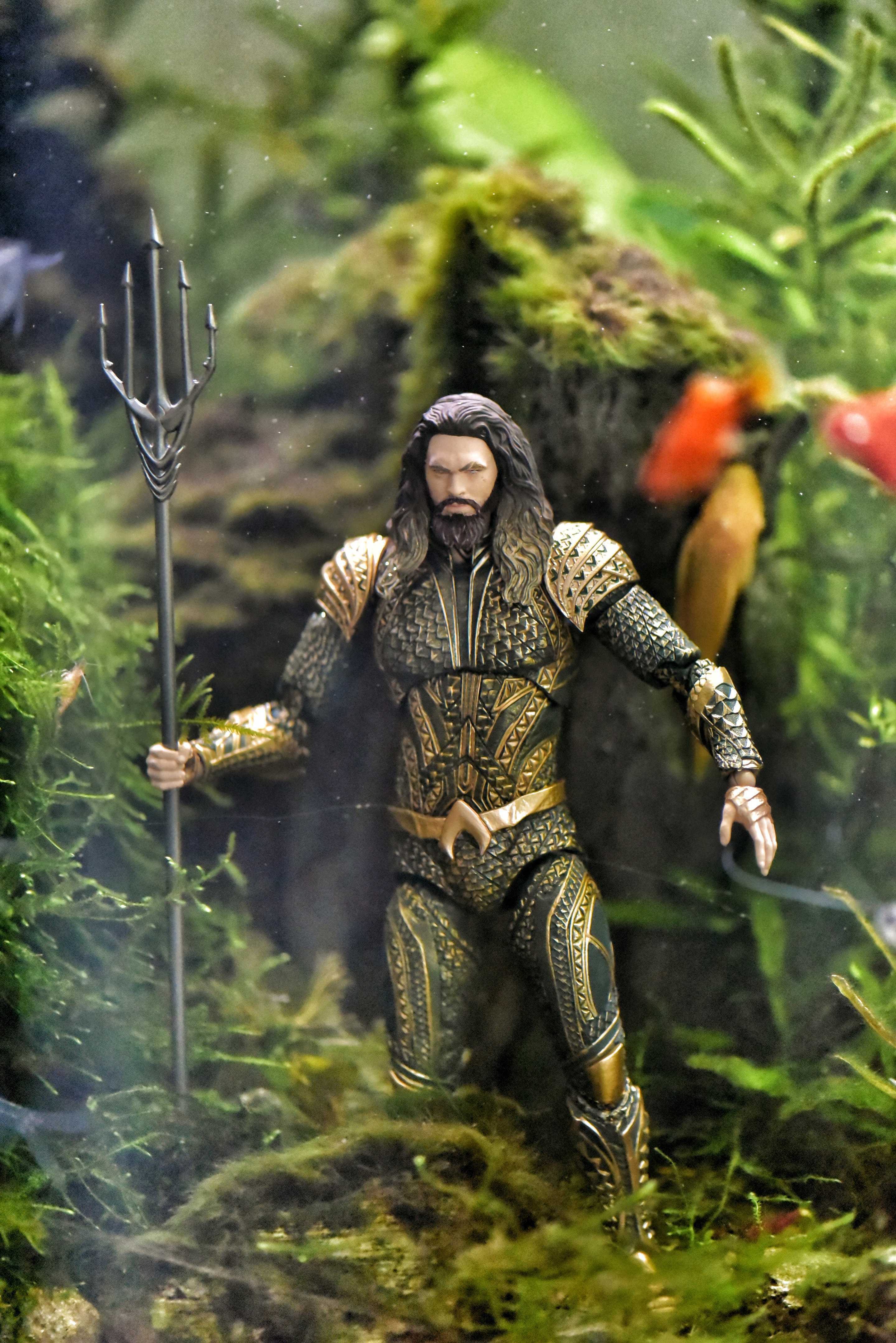 Aquaman In Fish Tank