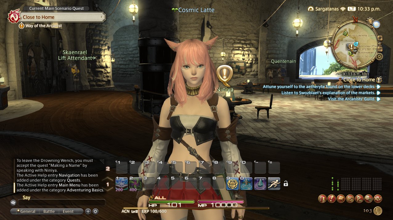 My character, with cat ears and pink hair.