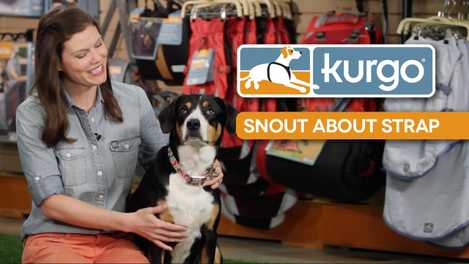 How to Use the Snout About Strap (VIDEO)