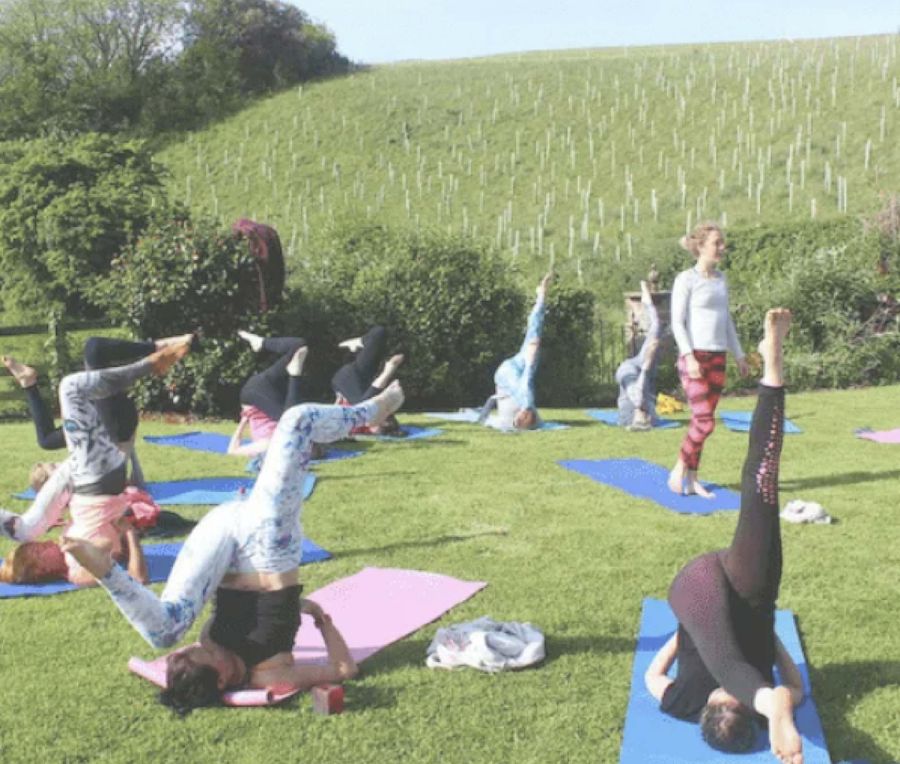 people doing yoga