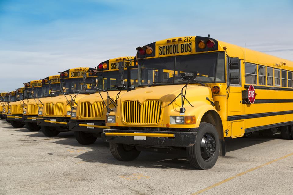 row of parked school buses