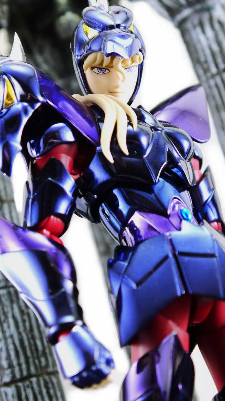 「yukimizuki」Myth Cloth EX Alpha Dubhe Siegfried