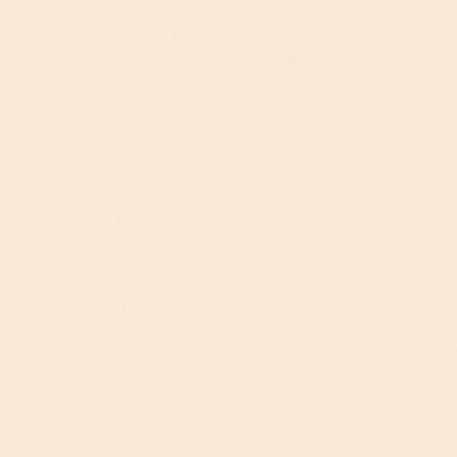 Design Options Dixie Plywood and Lumber Company