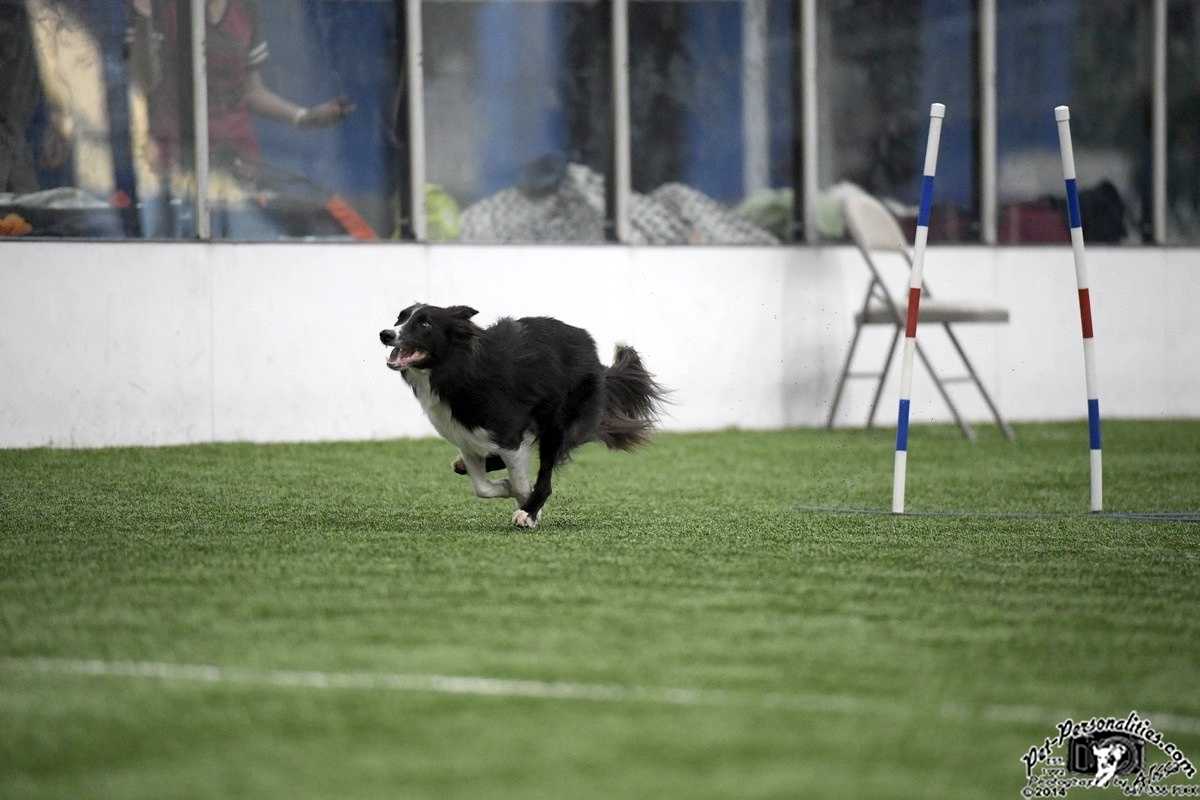 Moving into full extension Moving into full extension