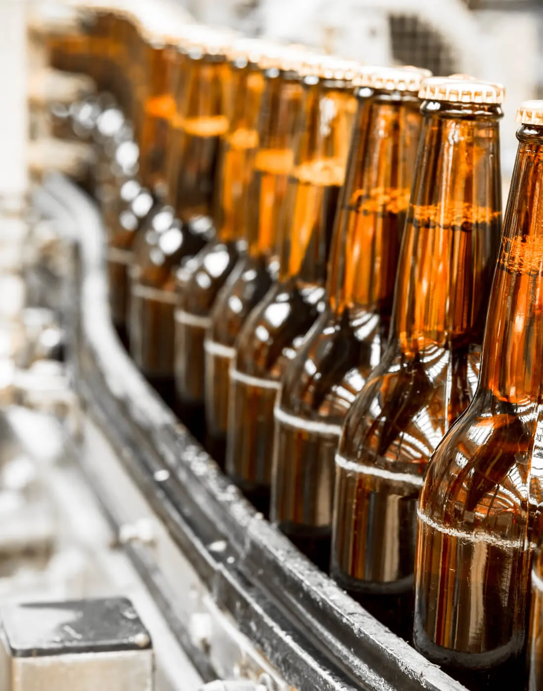 neatly lined up beer bottles on an assembly line