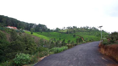 Road approach