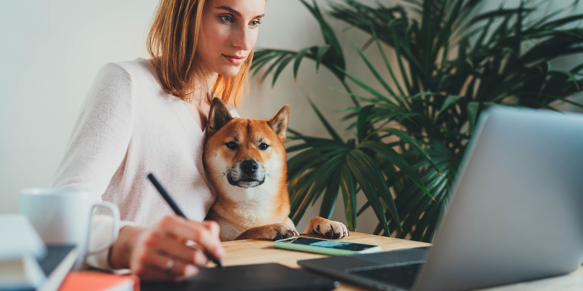 A UX designer building out her portfolio on Behance A UX designer sitting at her desk with her dog building out her portfolio on Behance