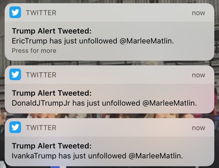 oh my god twitter doesn’t include alt text from images in their API