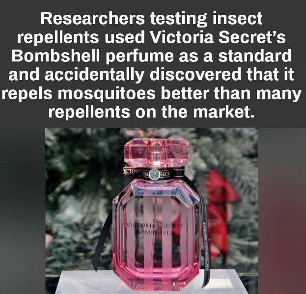 oh my god twitter doesn’t include alt text from images in their API