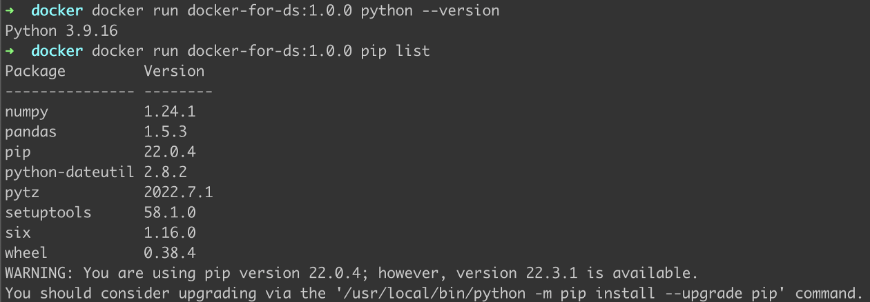 Checking installed Python version and list of packages installed using pip